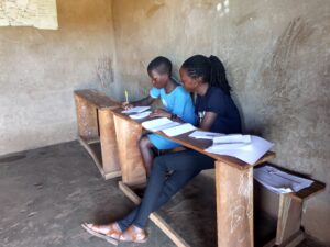 TaRL assessment being conducted